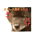 クロと海と（個別スタンプ：5）