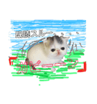 猫それ言う！？（個別スタンプ：5）