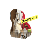 柴犬ももだよ（個別スタンプ：7）