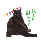 黒猫のコーラちゃん（個別スタンプ：1）