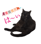 黒猫のコーラちゃん（個別スタンプ：2）