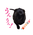 黒猫のコーラちゃん（個別スタンプ：4）