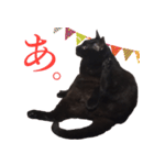 黒猫のコーラちゃん（個別スタンプ：5）