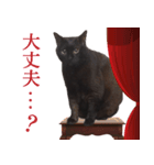 黒猫のコーラちゃん（個別スタンプ：7）