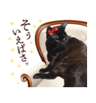 黒猫のコーラちゃん（個別スタンプ：8）