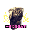 つつじくんスタンプ（個別スタンプ：2）