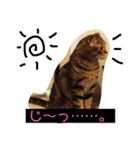 つつじくんスタンプ（個別スタンプ：3）