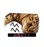 つつじくんスタンプ（個別スタンプ：4）