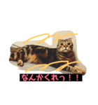 つつじくんスタンプ（個別スタンプ：5）