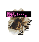 つつじくんスタンプ（個別スタンプ：6）