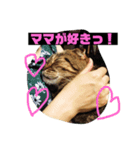つつじくんスタンプ（個別スタンプ：8）