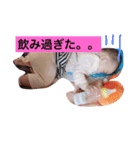 あおはーん（個別スタンプ：13）