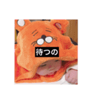 あおはーん（個別スタンプ：15）