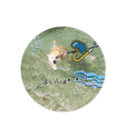 柴犬ハルNo.2（個別スタンプ：21）