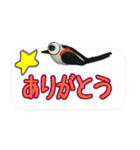 野鳥の粘土を使った日常会話セット（個別スタンプ：20）