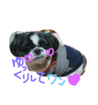 マイペットアイス（個別スタンプ：1）