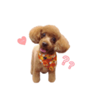 きなはなstamp❁︎（個別スタンプ：2）
