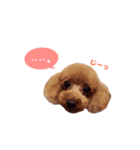 きなはなstamp❁︎（個別スタンプ：6）
