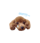 きなはなstamp❁︎（個別スタンプ：8）