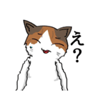 釣りアニマルズ（個別スタンプ：13）