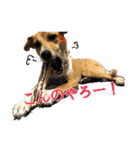 愛され小町（個別スタンプ：2）