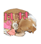 愛され小町（個別スタンプ：8）