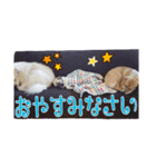 愛され小町（個別スタンプ：9）