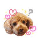 らぶ息子♡♡（個別スタンプ：15）