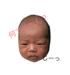 おバカ三兄弟（個別スタンプ：3）