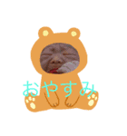 おバカ三兄弟（個別スタンプ：8）