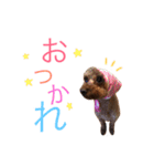 くるこな。（個別スタンプ：2）