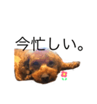 くるこな。（個別スタンプ：10）