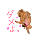 くるこな。（個別スタンプ：11）