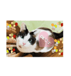 可愛い猫の一言返信スタンプ（個別スタンプ：6）