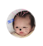 淘汰の日常（個別スタンプ：6）