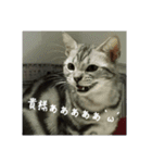 ゴマの日（個別スタンプ：7）
