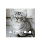 ゴマの日（個別スタンプ：10）