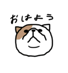 下から見た猫（個別スタンプ：1）
