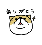 下から見た猫（個別スタンプ：2）