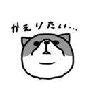下から見た猫（個別スタンプ：3）