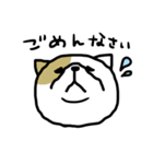 下から見た猫（個別スタンプ：4）