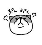 下から見た猫（個別スタンプ：5）