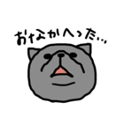 下から見た猫（個別スタンプ：6）