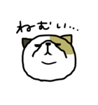 下から見た猫（個別スタンプ：8）
