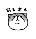 下から見た猫（個別スタンプ：9）