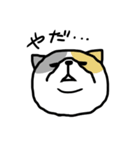 下から見た猫（個別スタンプ：10）