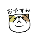 下から見た猫（個別スタンプ：12）