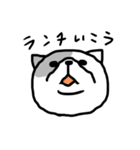 下から見た猫（個別スタンプ：13）