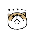 下から見た猫（個別スタンプ：14）