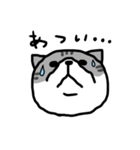 下から見た猫（個別スタンプ：15）